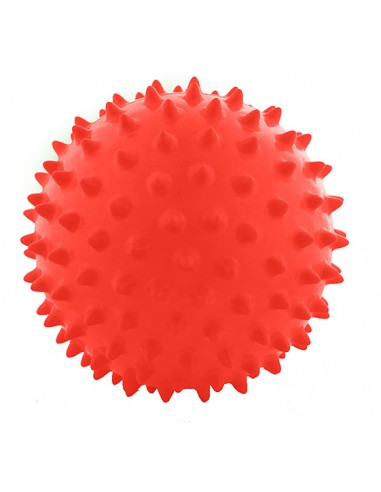 Pelota masaje