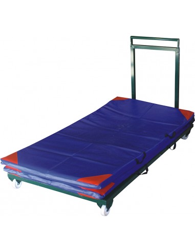 Carro portacolchonetas 200 x 100, 4 ruedas