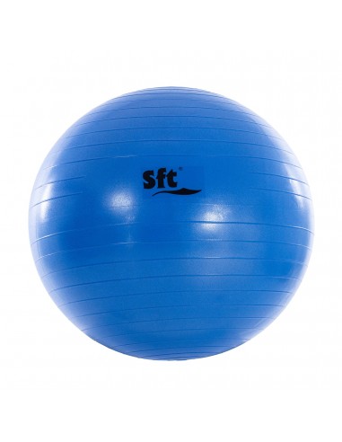 Pelota gigante softee flexi