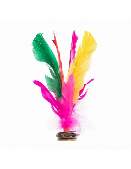 Lote 6 indiakas fútbol pluma multicolor