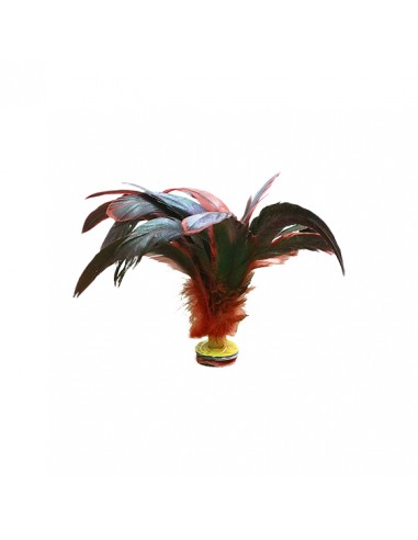 Lote 6 indiakas fútbol pluma dark