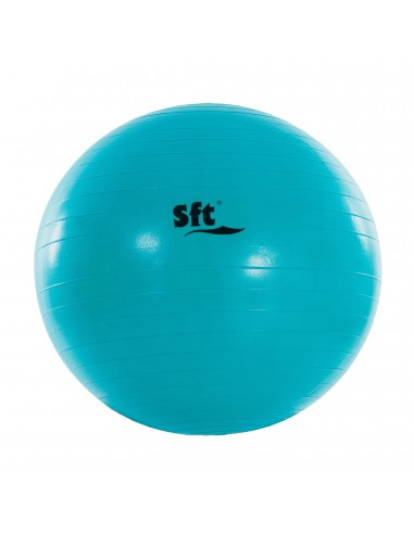 Pelota gigante softee flexi