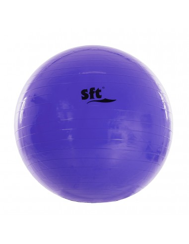 Pelota gigante softee