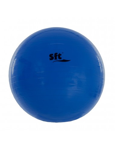 Pelota gigante softee