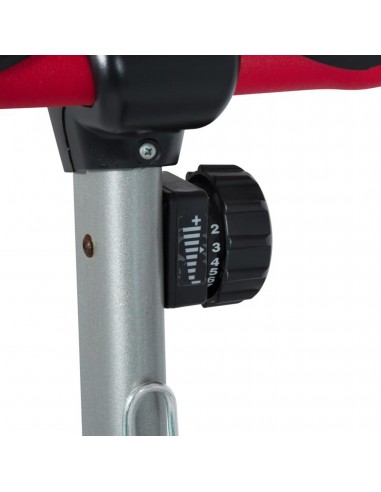 Bicicleta 1300