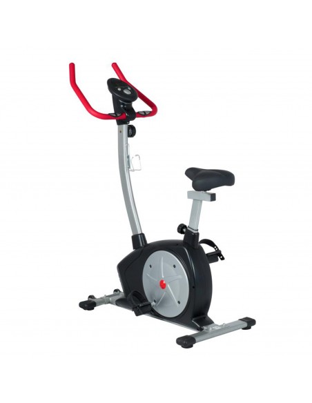 Bicicleta 1300
