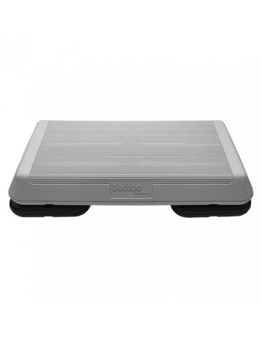 Ministep profesional