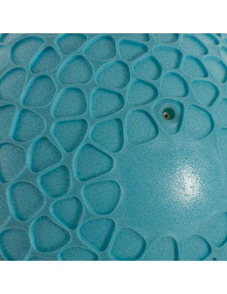 Pelota softee sensorial net