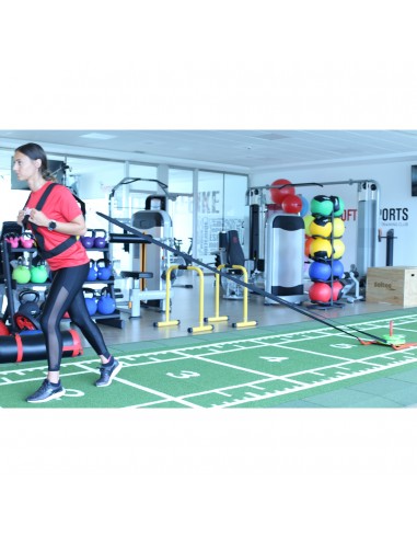 Trineo entrenamiento