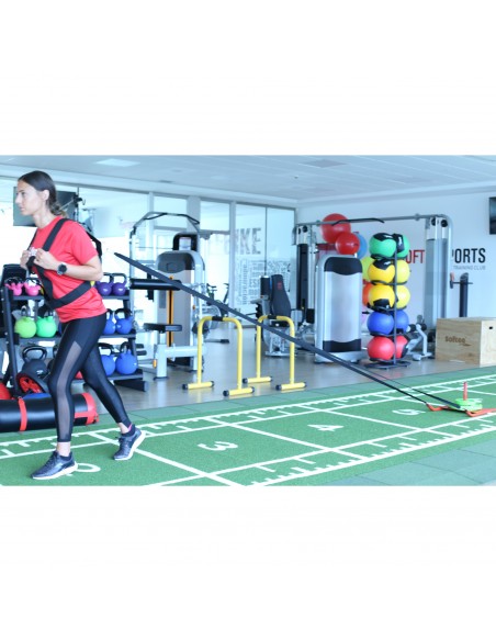 Trineo entrenamiento