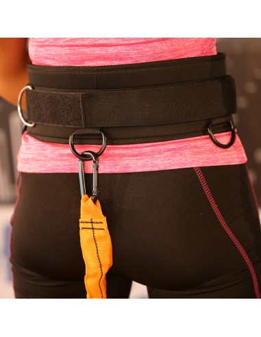 Resistance trainer