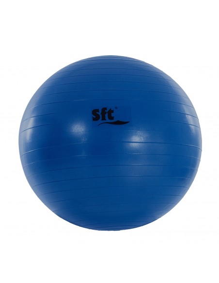 Pelota gigante softee flexi