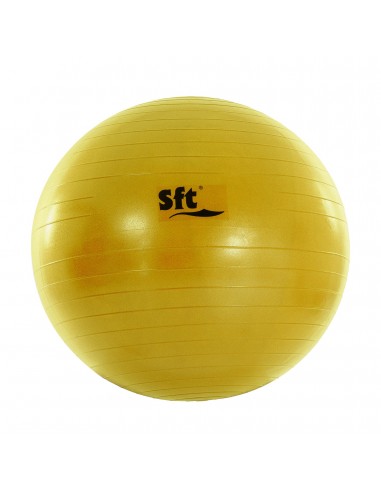 Pelota gigante softee flexi