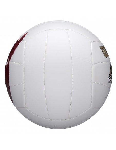Balón voleibol wilson castaway