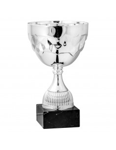 COPA SERIE 63-110
