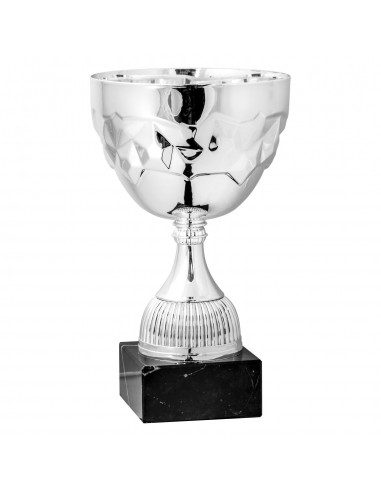 COPA SERIE 63-110