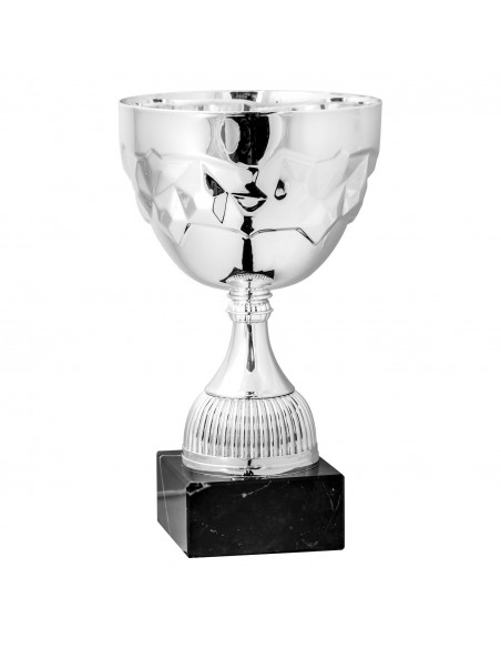 COPA SERIE 63-110