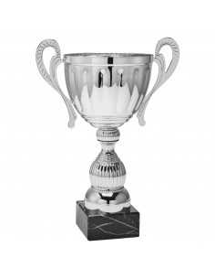 COPA SERIE 63-102