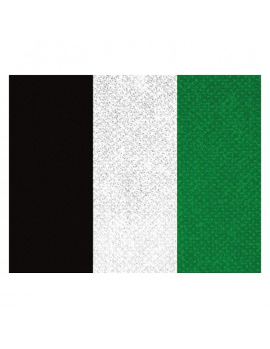 CINTA C/MOSQUETON 10 MM NEGRO-BLANCO-VERDE