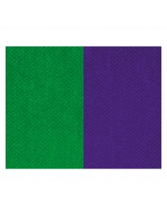 CINTA C/MOSQUETON 10 MM VERDE-MORADO