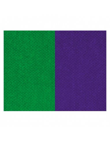 CINTA C/MOSQUETON 10 MM VERDE-MORADO