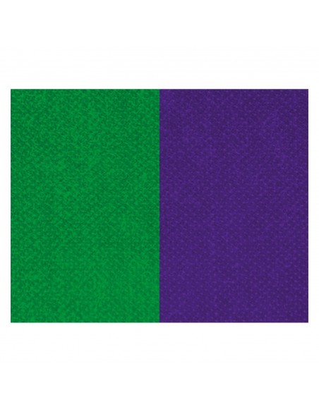 CINTA C/MOSQUETON 10 MM VERDE-MORADO