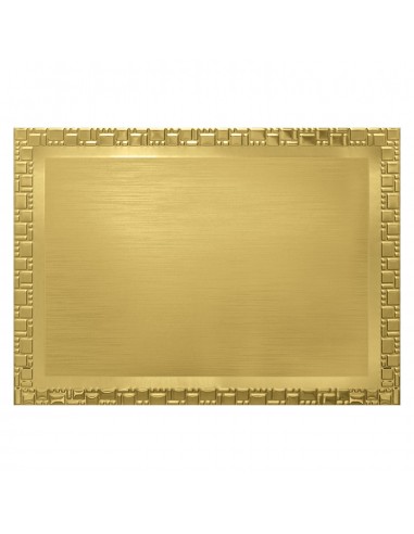 PLACA GRABADO 17-100 ORO