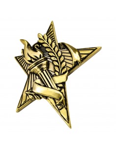 MOTIVO RESINA "ESTRELLA" ALEGOR. H.9CM