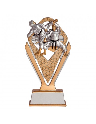 TROFEO RESINA "BRASILIA" KARATE