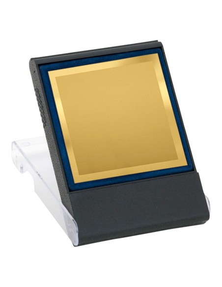 PLACA MINI 17-029 ORO C/ESTUCHE
