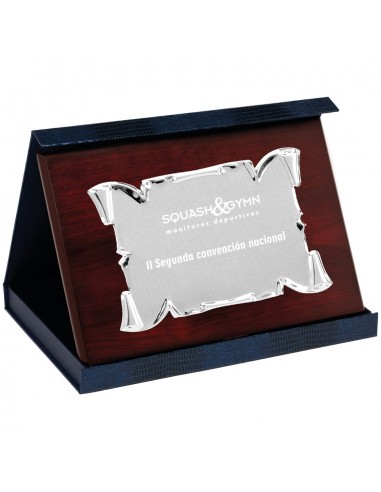 PLACA MINI 17-042 PLATA C/ESTUCHE