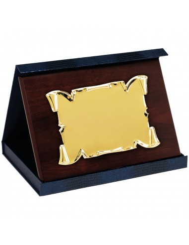 PLACA MINI 17-052 ORO C/ESTUCHE