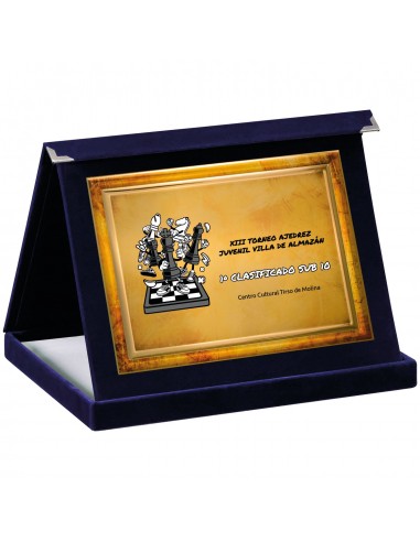 PLACA 17-114 ORO C/ESTUCHE TARGA+ SUBLIMACION