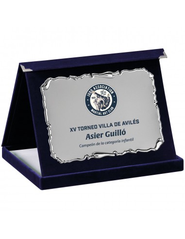 PLACA 17-184 PLATA C/EST.TARGA+ SUBLIMACION