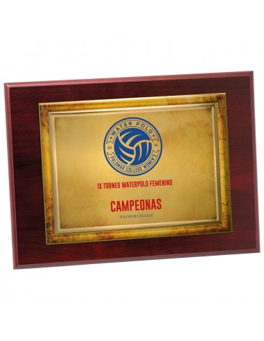 PLACA 17-111 ORO C/MADERA. SUBLIMACION