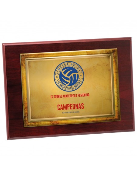 PLACA 17-111 ORO C/MADERA. SUBLIMACION