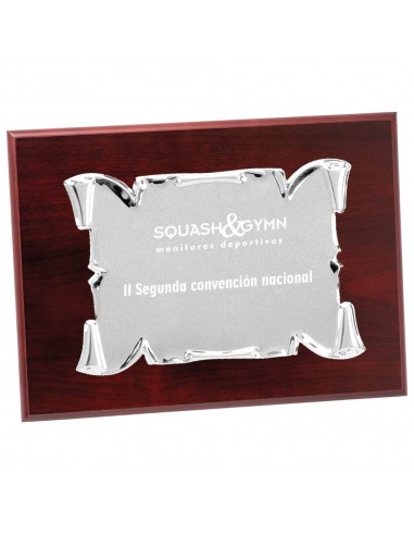 PLACA 17-041 PLATA C/MADERA
