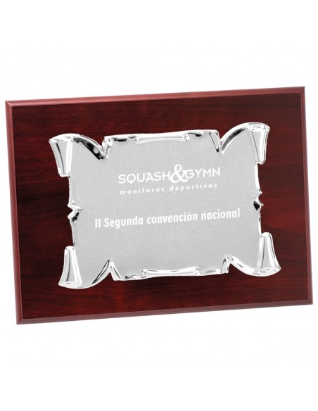 PLACA 17-041 PLATA C/MADERA