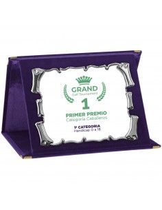 PLACA 17-163 PLATA C/ESTUCHE TARGA SUBLIMACION