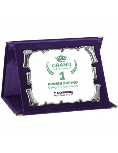 PLACA 17-163 PLATA C/ESTUCHE TARGA SUBLIMACION