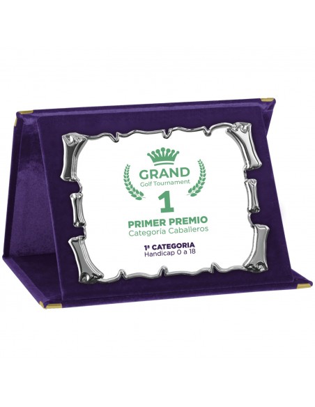PLACA 17-163 PLATA C/ESTUCHE TARGA SUBLIMACION