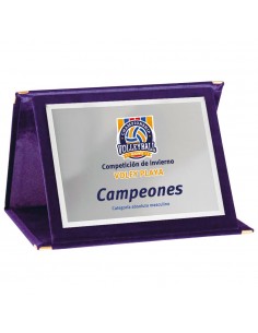 PLACA 17-193 PLATA C/ESTUCHE TARGA SUBLIMACION