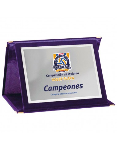 PLACA 17-193 PLATA C/ESTUCHE TARGA SUBLIMACION