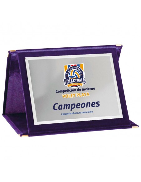 PLACA 17-193 PLATA C/ESTUCHE TARGA SUBLIMACION