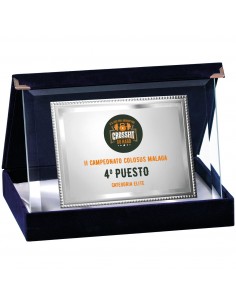 PLACA 17-125 PLATA C/CRISTAL. SUBLIMACION