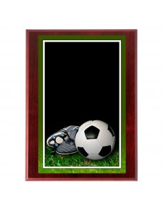 PLACA 18-469 FUTBOL C/MADERA