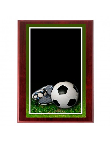 PLACA 18-469 FUTBOL C/MADERA