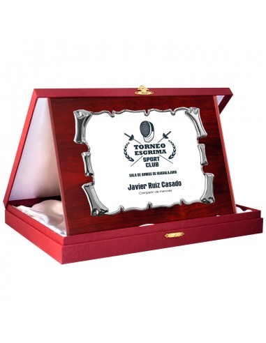 PLACA 17-166 PLATA  C/EST. GRANATE. SUBLIMACION