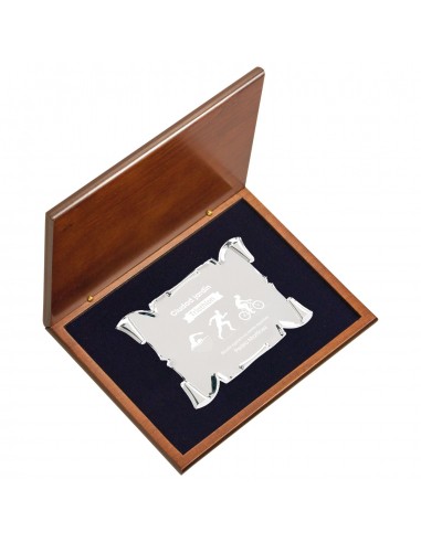 PLACA 17-470 PLATA C/ESTUCHE MADERA