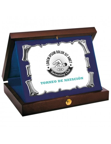 PLACA 17-168 PLATA C/ESTUCHE MADERA. SUBLIMACION
